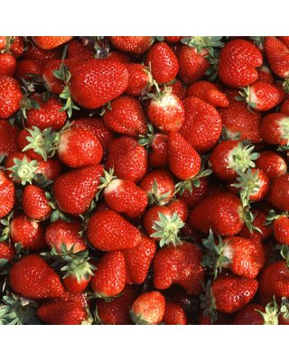 479px-chandler_strawberries.jpg