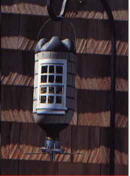 birdbottle0001.jpg
