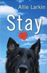 stay-cover-thumbnail
