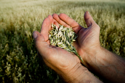 istock_000002804908xsmall.jpg