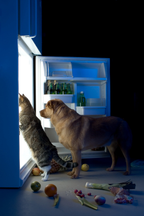 istock_000003176839xsmall.jpg