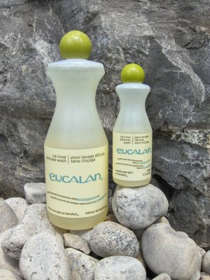 eucalyptus-both-sizes.JPG