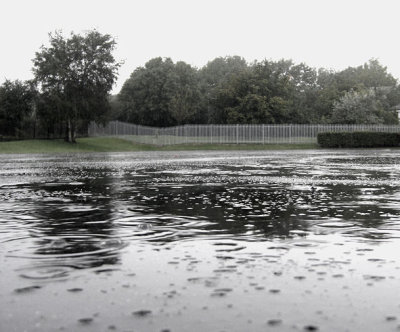 800px-raindrops.jpg