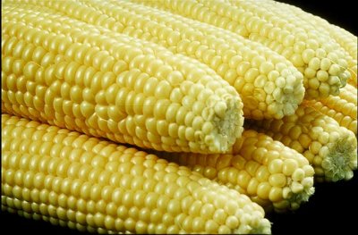 vegcorn.jpg