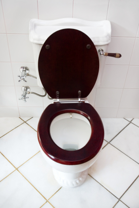 istock_000003940128xsmall.jpg