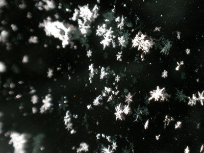 800px-snow_crystals_on_car.jpg