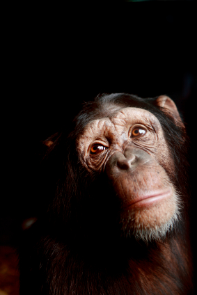 istock_000003803426xsmall.jpg