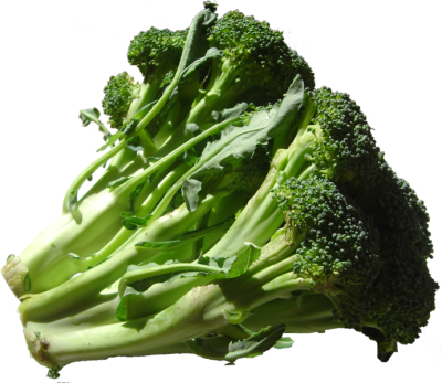 691px-broccoli_dsc00862.png