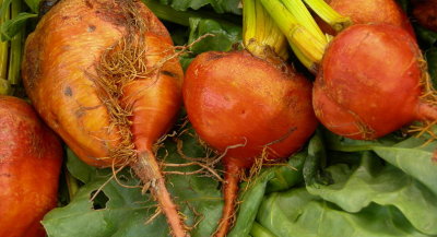 800px-red-orange_root_vegetable_01.jpg