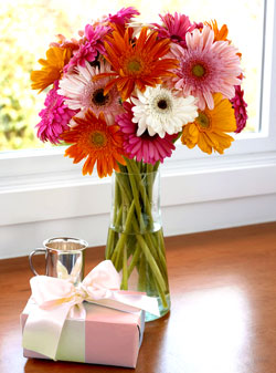 gerbera-autumn-daisies-20stem.jpg