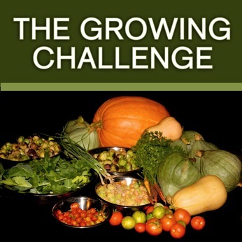 growing_challenge.jpg
