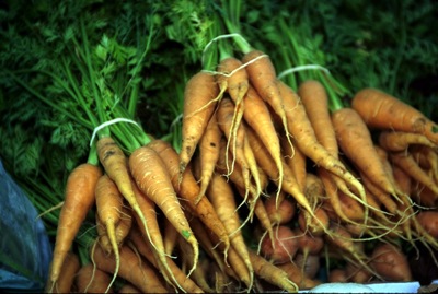 carrot.jpg