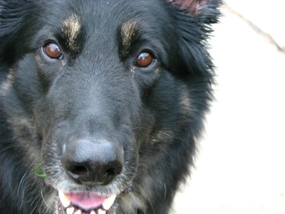 argo-closeup-2.jpg