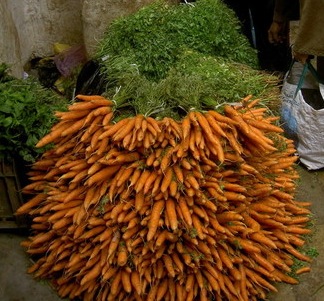 carrot_2.jpg