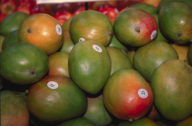 mangos_in_market.jpg
