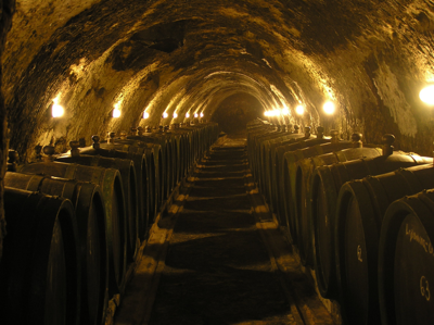 800px-tokaj_cellar2.png
