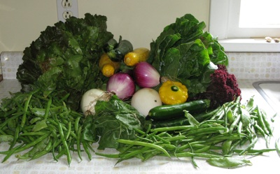csa-week-5.jpg