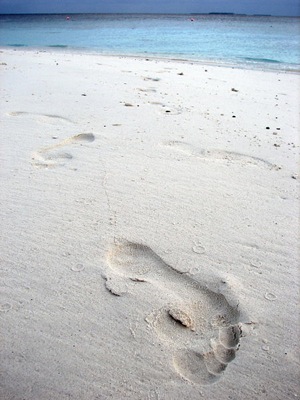 450px-maldives_00147.JPG