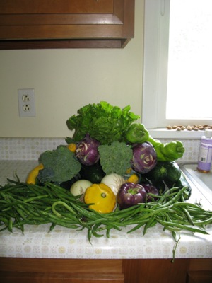 csa-week-7.jpg