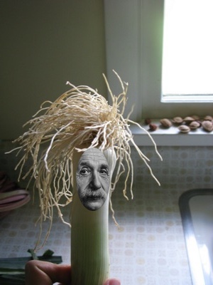 einstein.jpg
