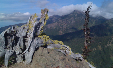 ridge1.jpg