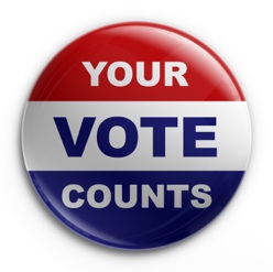 Badge - 2008 election
