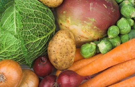 istock_000002656528xsmall