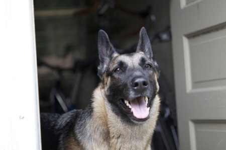 Stella Smiling