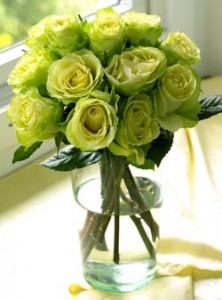 Chartreuse-Roses-1dz