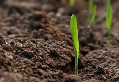 New Life