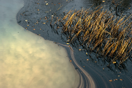 iStock_000007656271XSmall